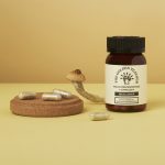 Capsule - Big Ecuador - Image 2