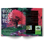 Mushroom People's Magazine: Volume 1 - Image 5