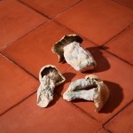 Dried - Chodas - Image 2