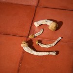 Dried - Penis Envy - Image 2