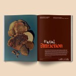 Mushroom People Magazine : Volume 2 - Image 6