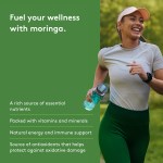 Moringa - Image 7