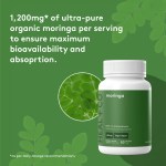 Moringa - Image 8