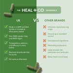 Moringa - Image 3